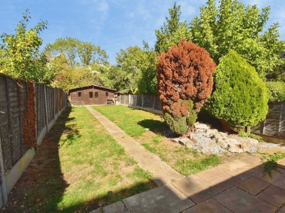 Picture 20